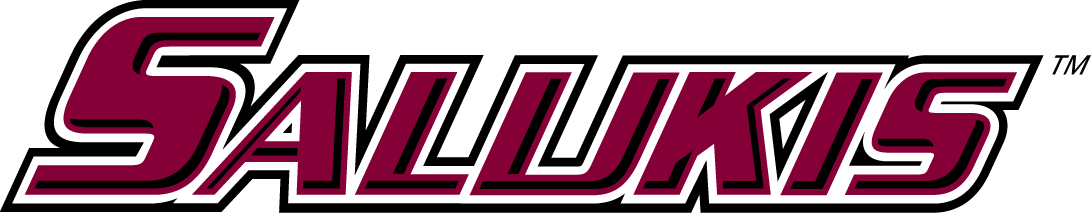 Southern Illinois Salukis 2011-2019 Wordmark Logo diy iron on heat transfer